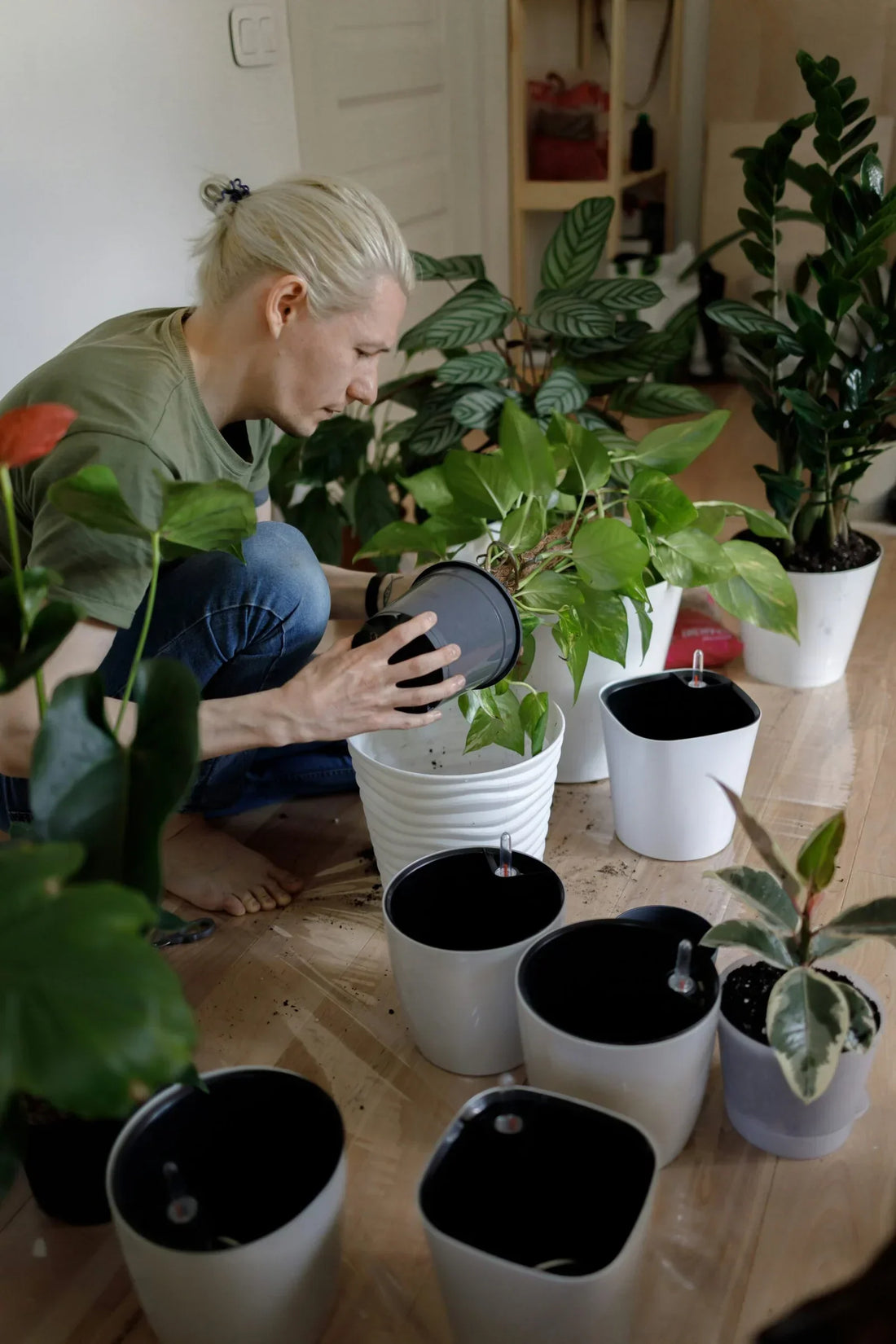 How to Grow a Lush Indoor Garden in Your Apartment