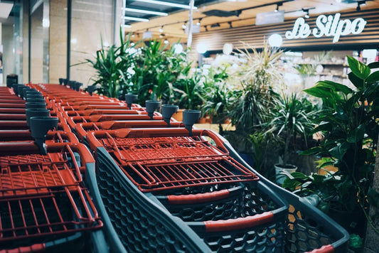 Winter Seed Starting: Best Plants to Grow Indoors