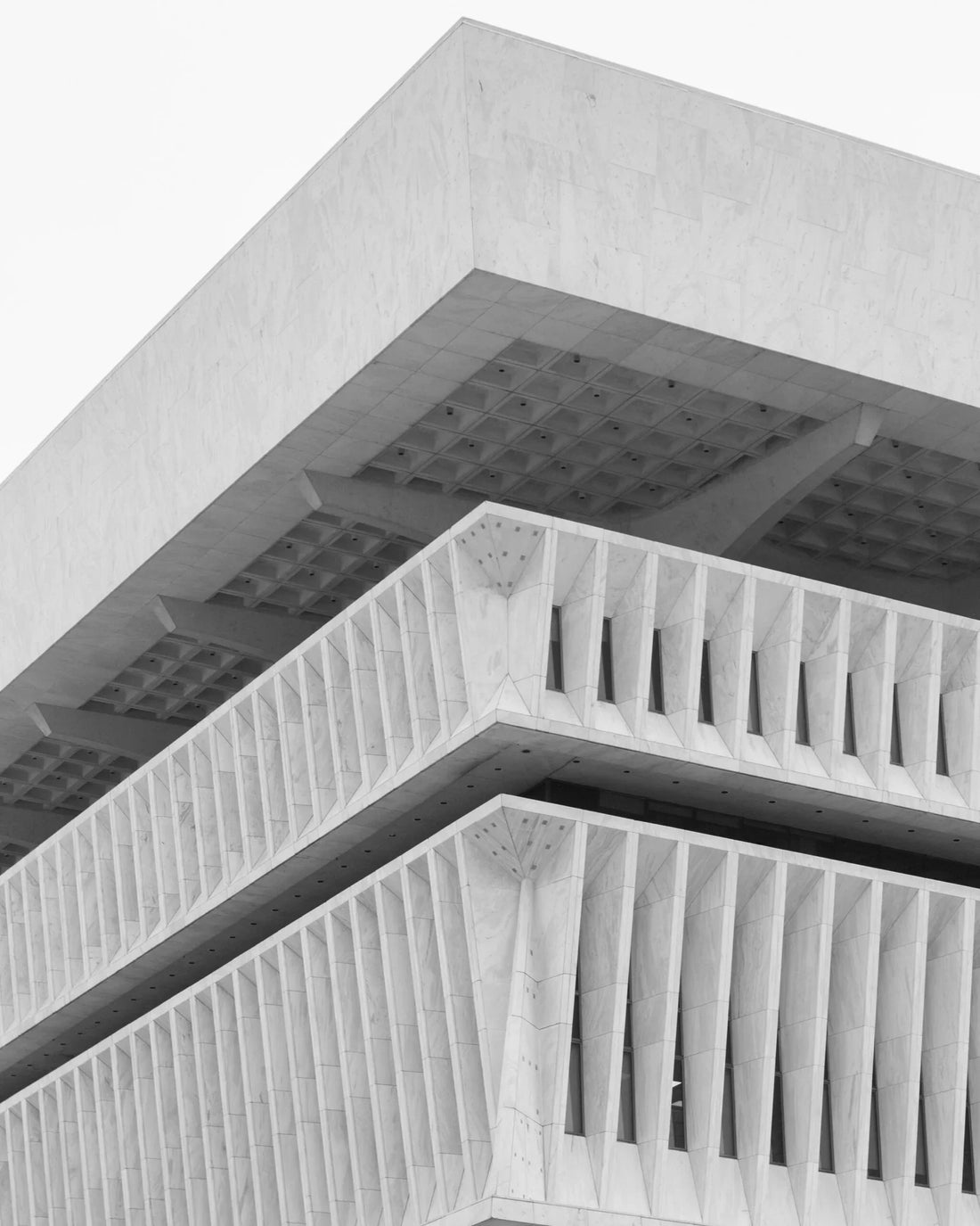 Discover the Beauty and Benefits of Albany Nursery Plants