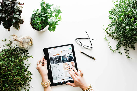 How to Decorate Your Home with Winter Plants