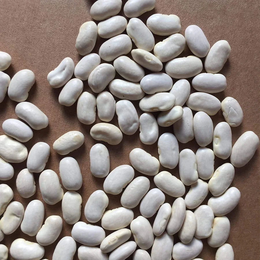 French Beans Seeds (हरी बीन्स)