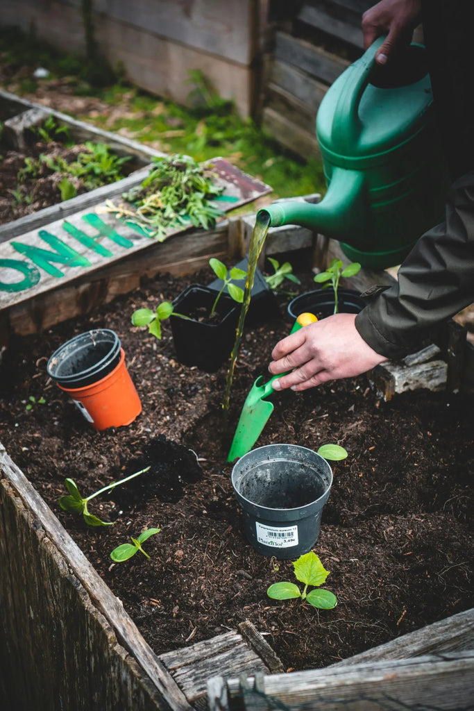 How to Grow Food in Small Spaces Using Vertical Gardening