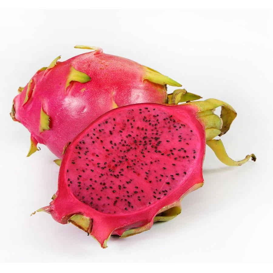 Dragon Fruit Plant