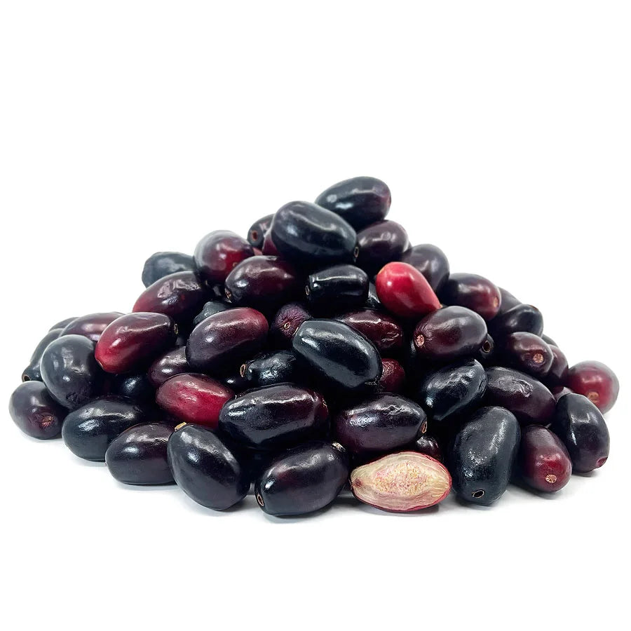 Jamun Tree Plant - Syzygium Cumini Plant