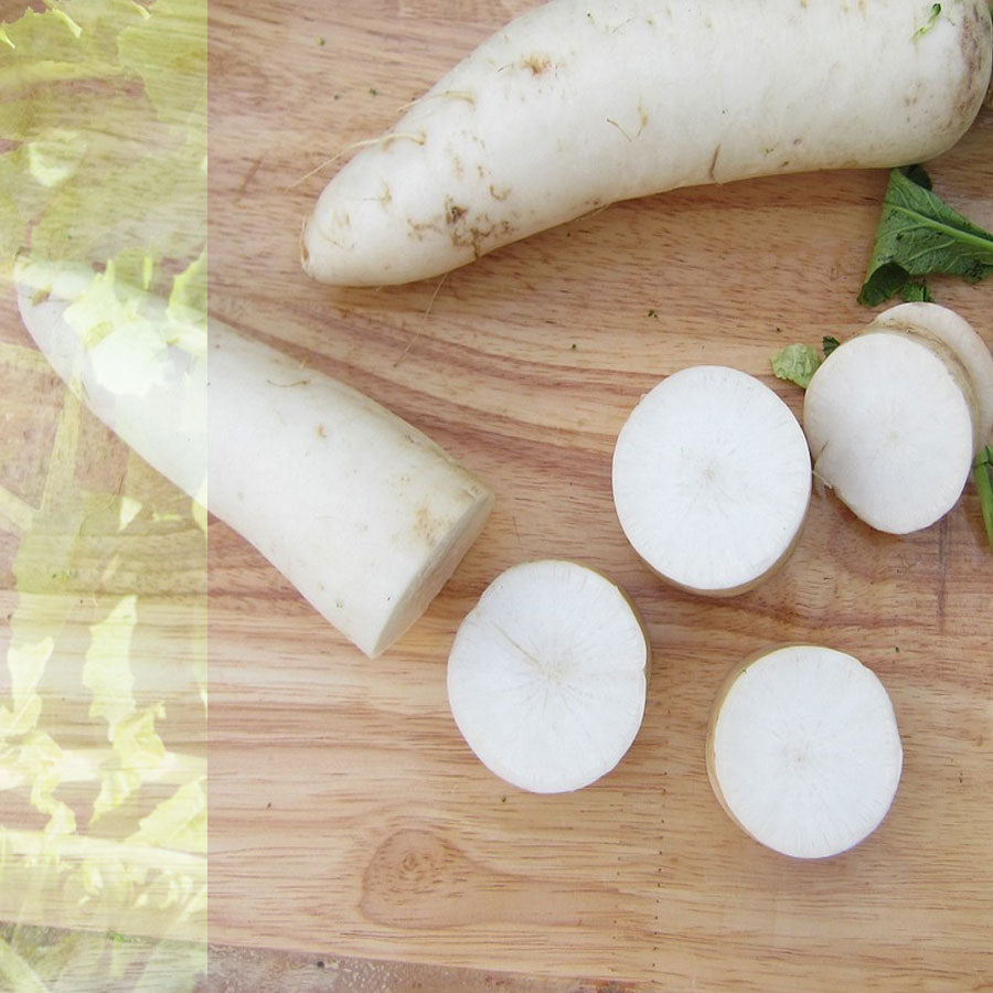 White Radish Seeds Daikon मूली