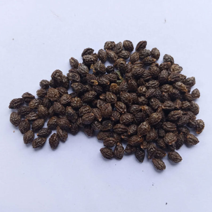 Papaya Seeds (पपीता)