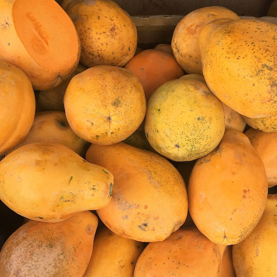 Papaya Seeds (पपीता)