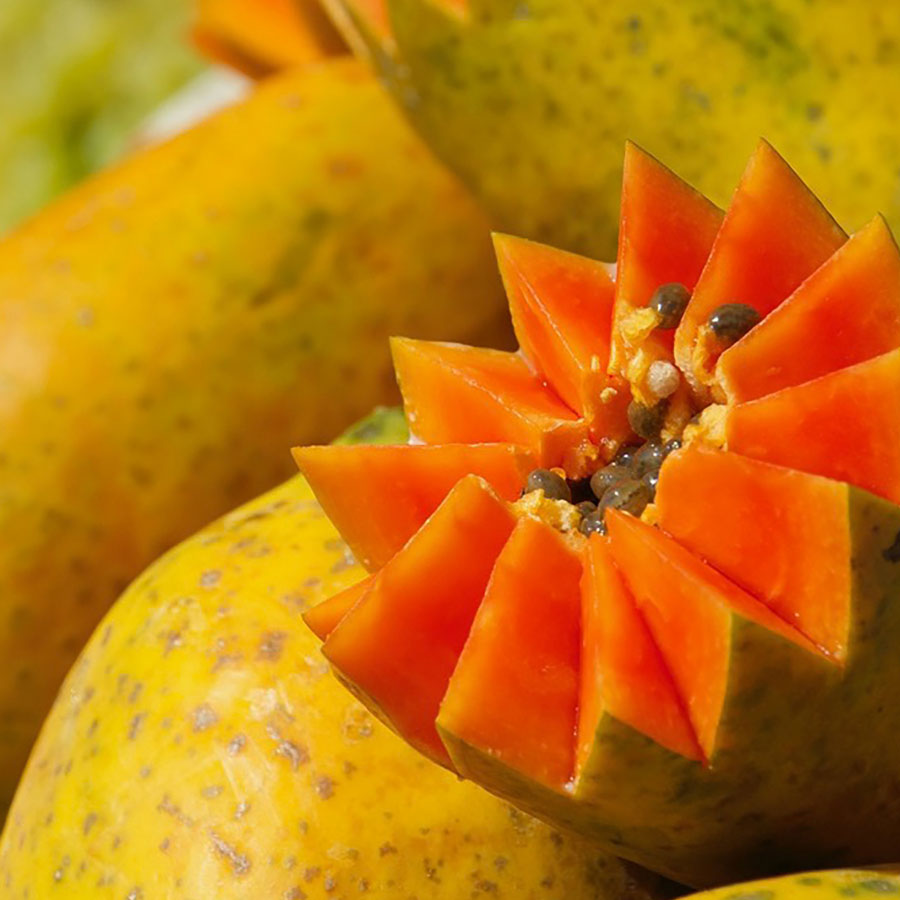 Papaya Seeds (पपीता)