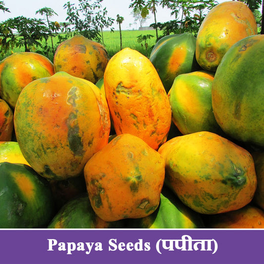 Papaya Seeds (पपीता)