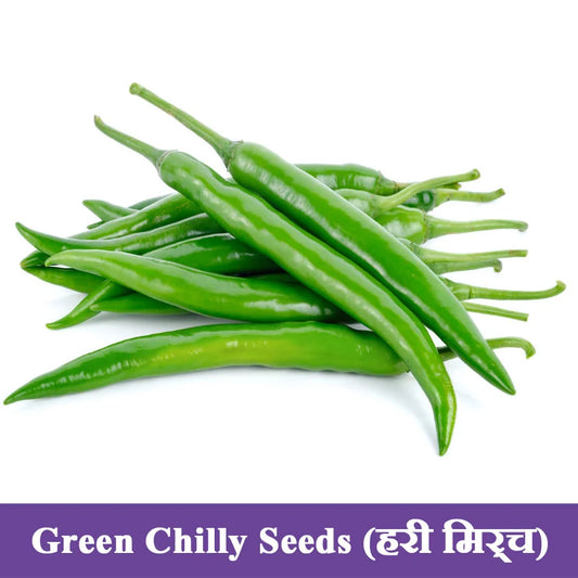 Green Chilli Seeds (हरी मिर्च)