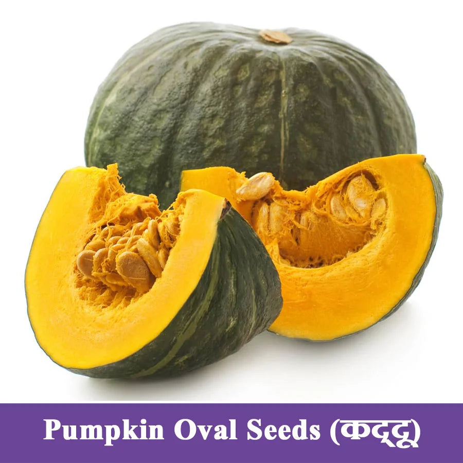 Pumpkin Oval Seeds (कद्दू)