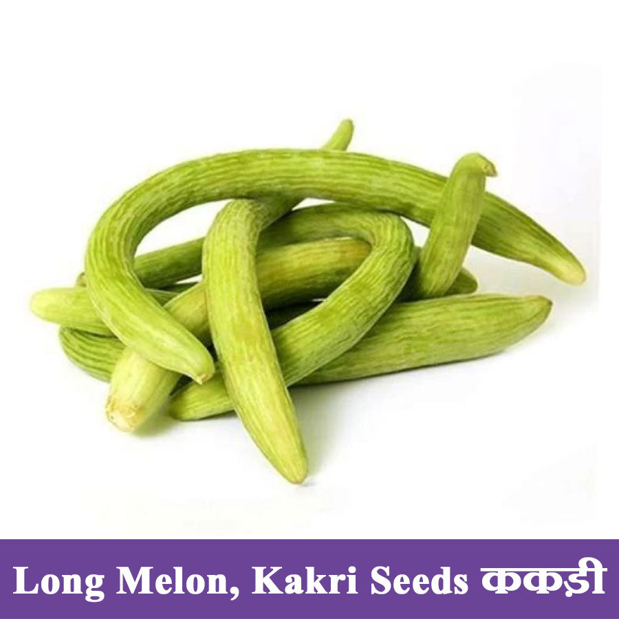 Long Melon Kakri Seeds (ककड़ी)