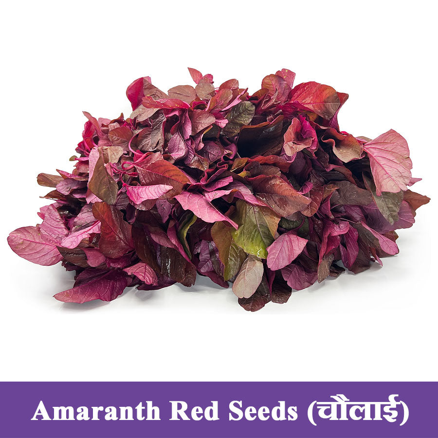 Amaranth Red Seeds (चौलाई)