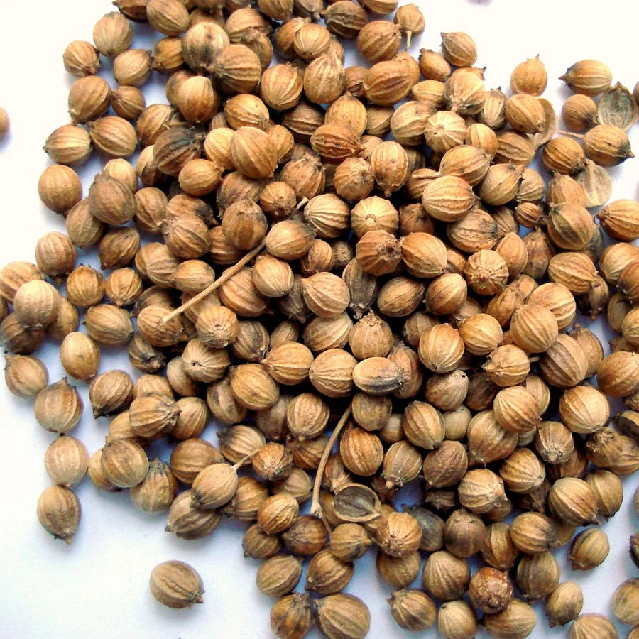 Coriander Seeds (धनिया)