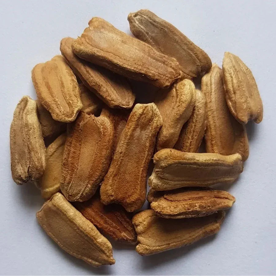 Round Gourd Seeds (टिंडा)