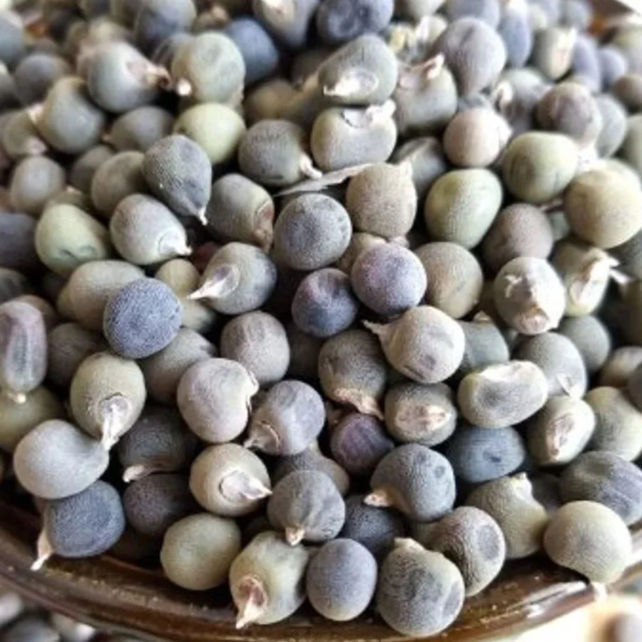 Green Ladies Finger - Okra Seeds (भिंडी)