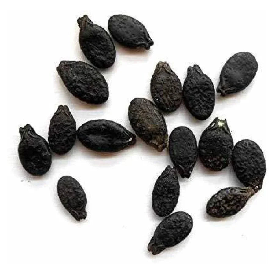 Sponge Gourd Seeds (गिल्की)