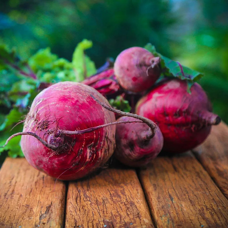 Beetroot Seeds (चुकंदर)