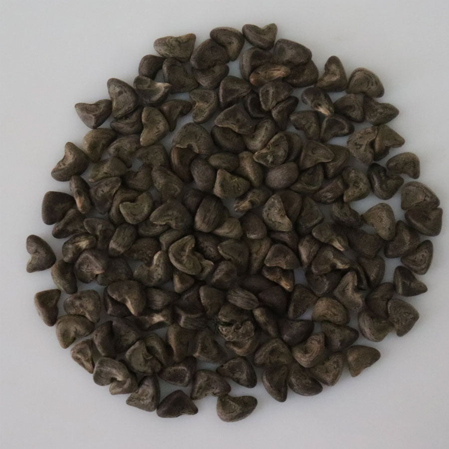 Spinach Seeds (पालक)