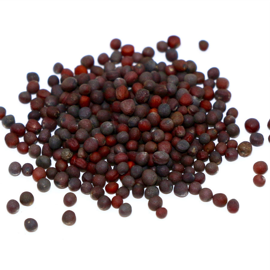 Turnip Seeds (शलजम)