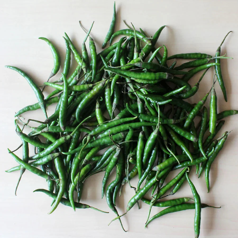 Green Chilli Seeds (हरी मिर्च)