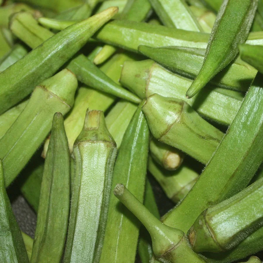 Green Ladies Finger - Okra Seeds (भिंडी)