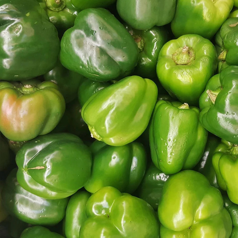 Green Capsicum Seeds (शिमला मिर्च)