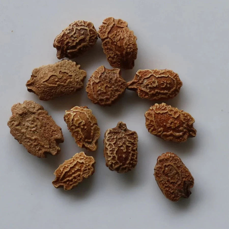 Bitter Gourd Long Seeds (करेला)