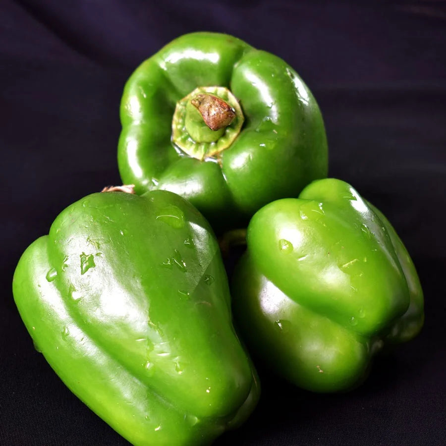 Green Capsicum Seeds (शिमला मिर्च)