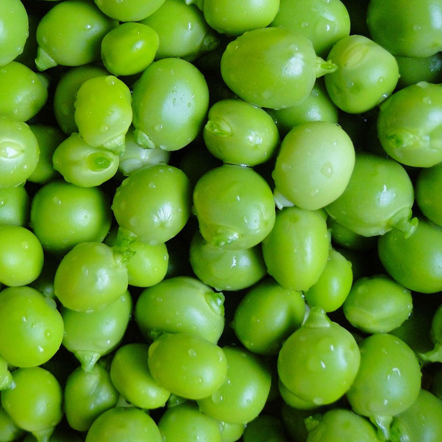 Green Peas Seeds (मटर)