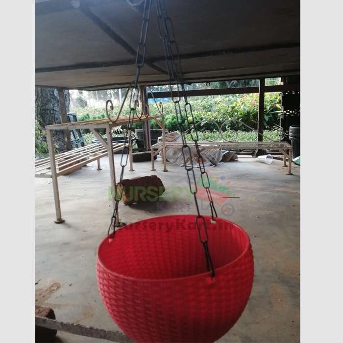 Hanging Basket