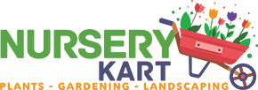 logo nursery kart