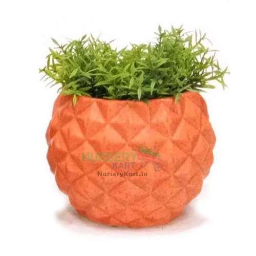 Pineapple Round Ceramic Pot