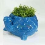 Tortoise Ceramic Pot