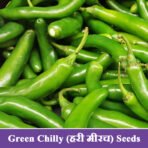 Green Chilly (हरी मिर्च) Seeds