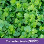Coriander Seeds (धनिया)