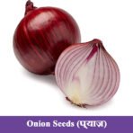 Onion Seeds प्याज़