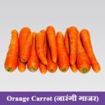 Orange Carrot Seeds नारंगी गाजर