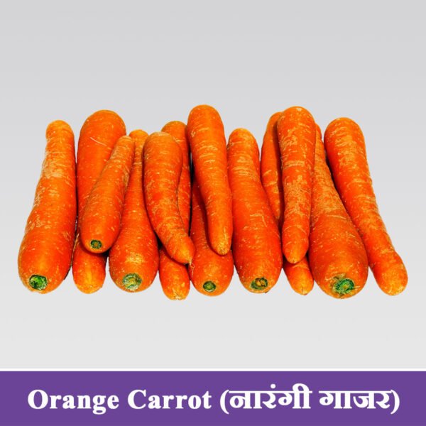 Orange Carrot Seeds नारंगी गाजर