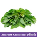 Amarnath Green Seeds (चौलाई)