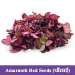 Amaranth Red Seeds चौलाई