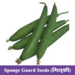 Sponge Gourd Seeds (गिल्की)