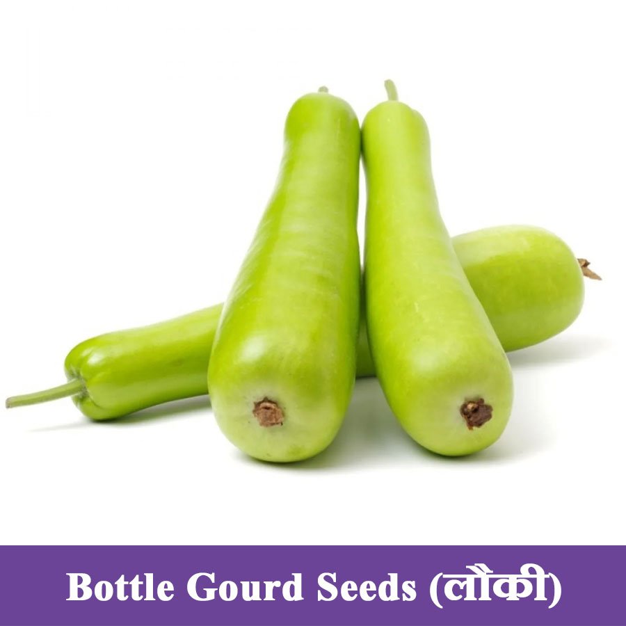 Bottle Gourd Hybrid Seeds (लौकी)