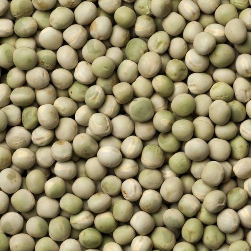 Green Peas Seeds (मटर)