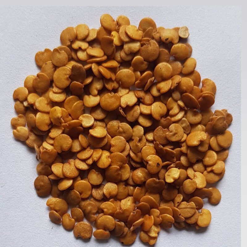 Brinjal Round (बैंगन) F1 Seeds