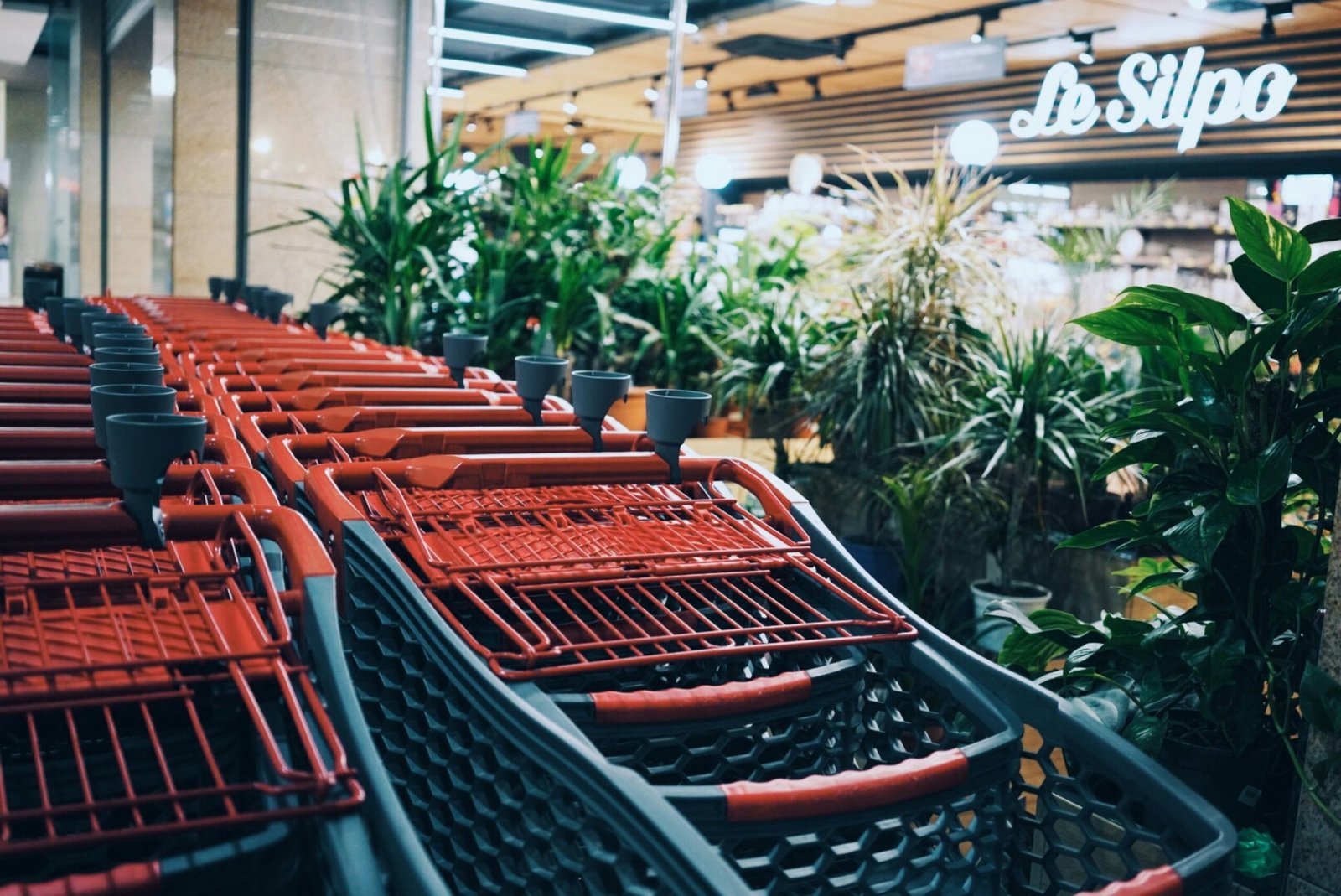 gray and red metal shopping cart in store